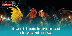 Đá gà - Lucky88
