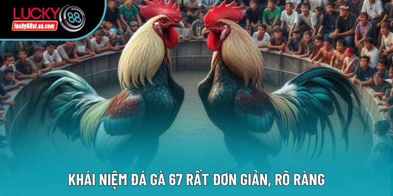 Đá Gà 67 - Phân Tích Chi Tiết Hình Thức Đá Gà Hot Hiện Nay Đá Gà 67 - Phân Tích Chi Tiết Hình Thức Đá Gà Hot Hiện Nay