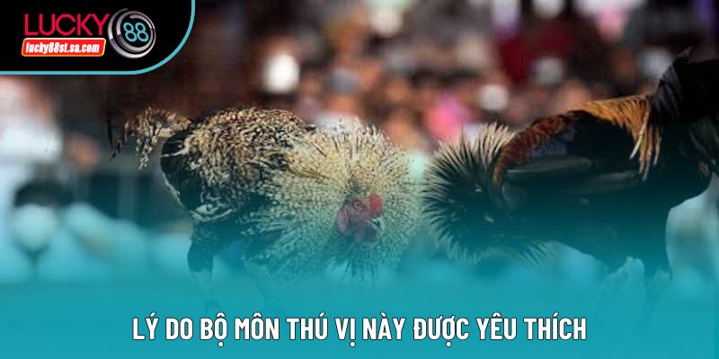 Đá Gà 67 - Phân Tích Chi Tiết Hình Thức Đá Gà Hot Hiện Nay Đá Gà 67 - Phân Tích Chi Tiết Hình Thức Đá Gà Hot Hiện Nay