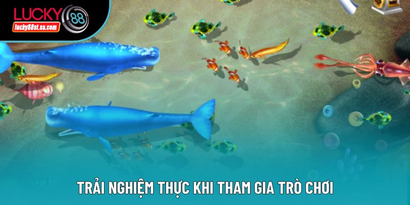 Bắn Cá Lucky88 Và Sức Hút Từ Trò Chơi Đại Dương Trực Tuyến Bắn Cá Lucky88 Và Sức Hút Từ Trò Chơi Đại Dương Trực Tuyến