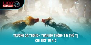 Đá gà - Lucky88